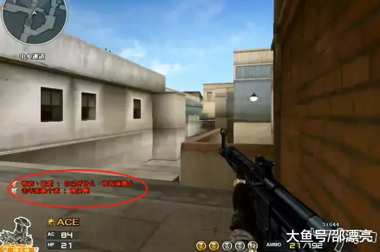 披露项目清 披露项目清